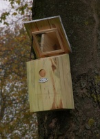 Spiegelnestkast